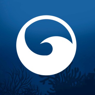 Neptune Official Chat