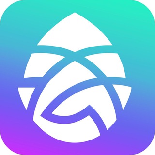 Project Larix 中文官方群