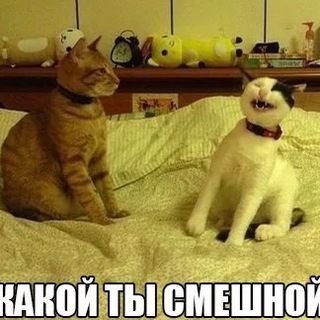 ДПС-Инфо/Цимлянск/Разное