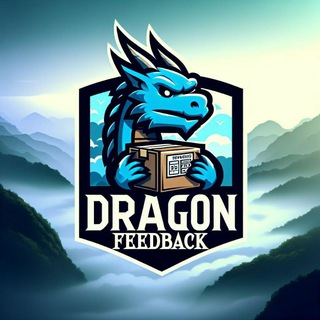 DragonCargoFeedback
