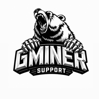 GMiner support chat