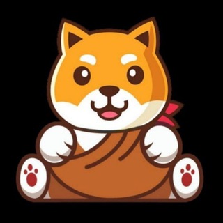 BIG DOGE FINANCE OFFICIAL
