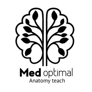 Medoptimal Qabul