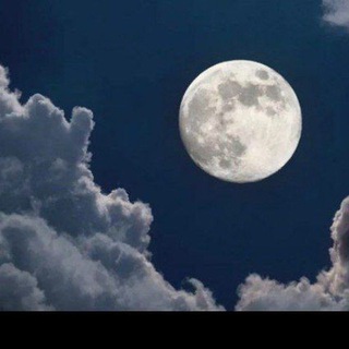 Ilm kanali haqida fikrlar🌕