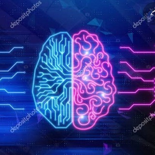 INTERNATIONAL BREAN IQ TESt