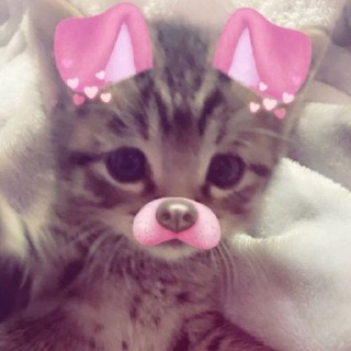 ♡