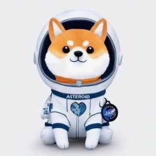 Asteroid Shiba CTO - $ASTEROID