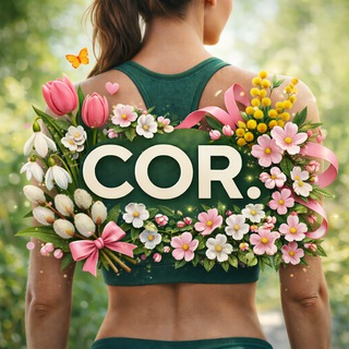 Cordis Studio