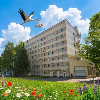 #Роддом Иноземцева _Chat | комментарии