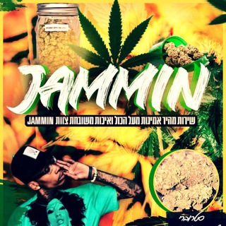 JAMMIN TEAM