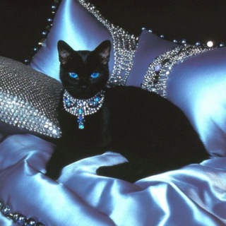 𝔇𝔬𝔫𝔫𝔞 𝔇𝔢𝔞𝔱𝔥