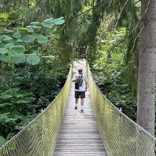 Y
