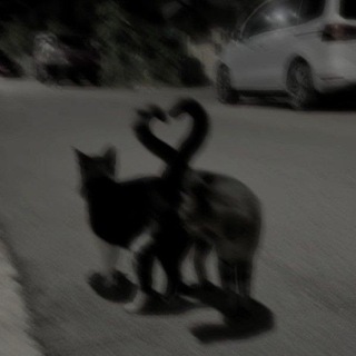 Alkad Oyun sohbet