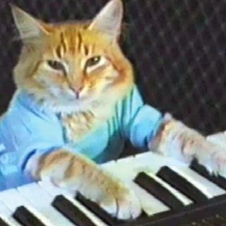 Keyboard Cat $KEYCAT 🎹😼