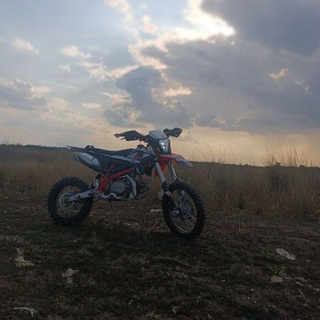nexogen
