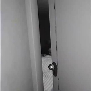 Kinolar