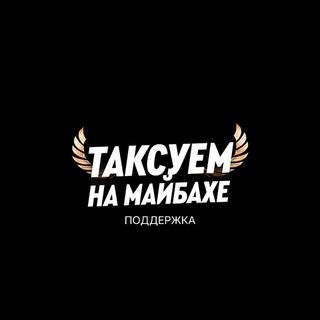 Тех.поддержка парка "Таксуем на Майбахе"