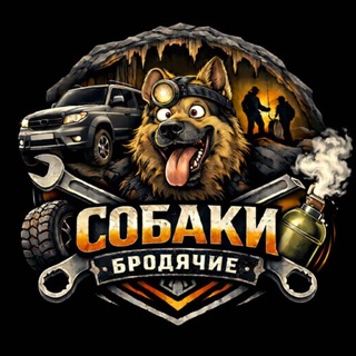 Собаки бродячие