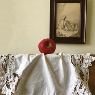 browse 99+ florist ; rosë gàrden 𖣂