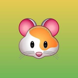 [PAUSED] Fluffy 🐹 Video Downloader | Download Reels & TikTok