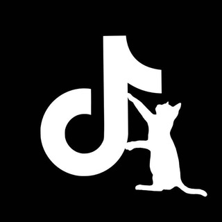 TikTok mod
