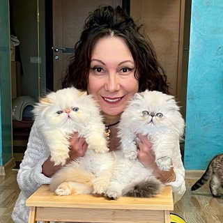 Юлия Коновалова