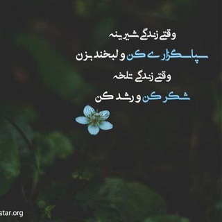چله شکرگزاری ،قانون جذب،انگیزشی