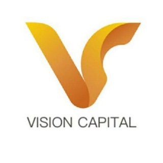 Vision Capital Support