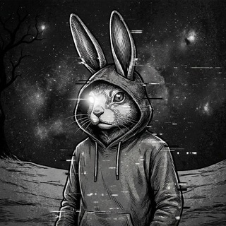Money Bunny