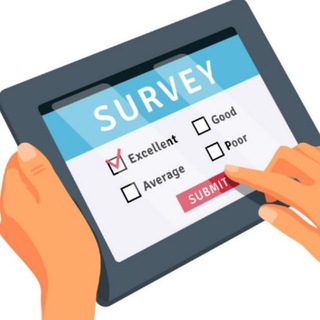 LM SURVEY INC