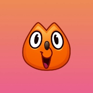 Speakadora support work