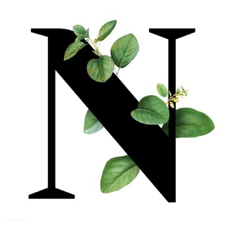 NIK YASASH BOT | NIKLAR