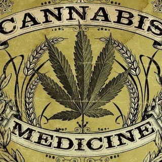 Pharmacy №BD-ODESSA