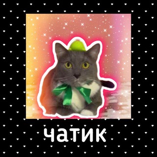 𝕂𝕆𝕋𝕀ℕ𝔼𝕋_𝔽𝔸ℕ𓃠♡︎❤️ чатик