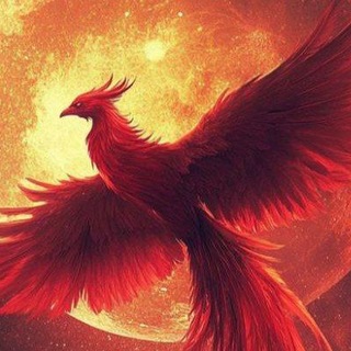 FENIX SAVDO CHATI