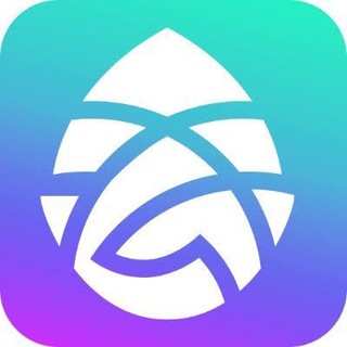 Project Larix Official