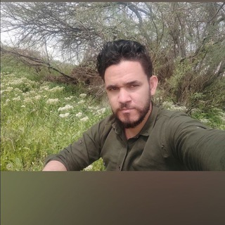 وحید سعیدی¥