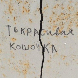 vasimusi