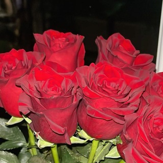 🌹IDEAL gullar🌹 kogon