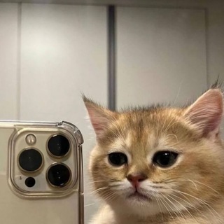 PngLover