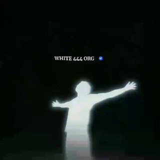 White stajlari