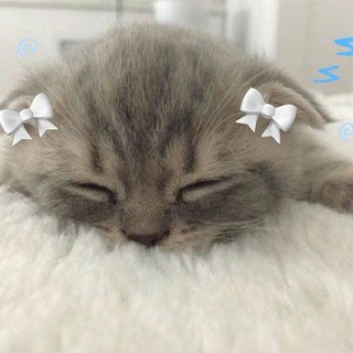 ассорти chat