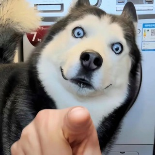 AAA 车行