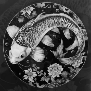 Promotor Koi