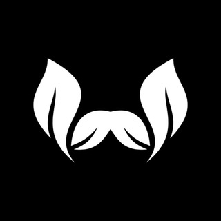 WheatChain Community ✨