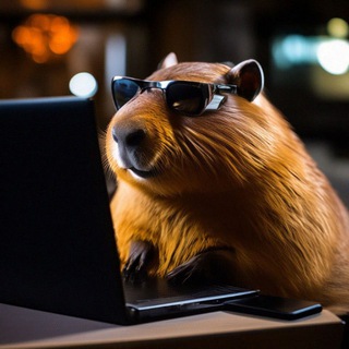 КапибарыCTF