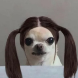 잼민