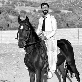 گۆرانیەکانم