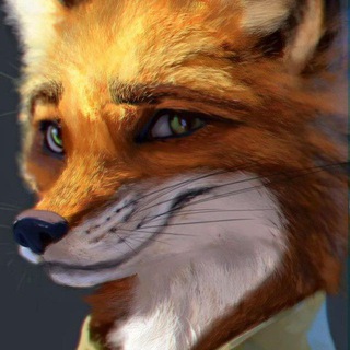 WarriorFurs NSFW