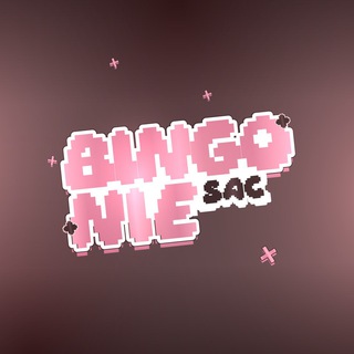 SAC BINGONIE